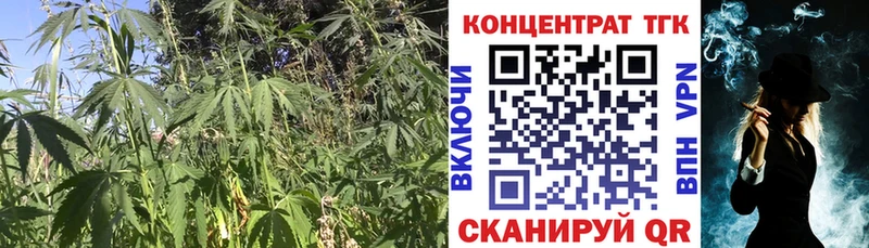 магазин продажи наркотиков  Шарья  ТГК THC oil 