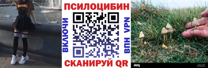 Галлюциногенные грибы Psilocybe ОМГ ОМГ сайт Шарья где найти